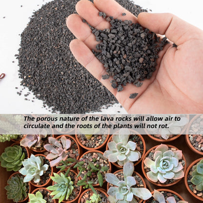 7lb Black Lava Rock for Plant, 1/8-1/4 inch Horticultural Volcanic Rock Soil for Decorative Landscaping Bonsai, Cacti, Succulents Plants Top Dressing for Release Excess Water