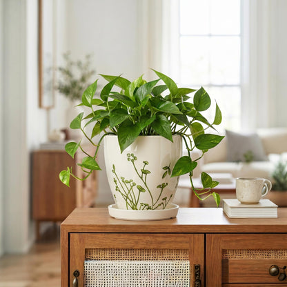 MPotTo 6 Inch Plant Pot - Ceramic Pots for Plants with Drainage Hole and Saucer, Ceramic Succulent Pots for Indoor Outdoor, Decorative Boho Planter, Housewarming Gifts, Garden Room Home Decor, White