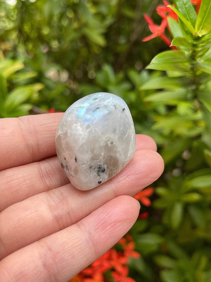 GAF TREASURES 5 Pcs Rainbow Moonstone Tumbled Stones, Polished Rainbow Moonstone Gemstone, Rainbow Moonstone Healing Crystals (Rainbow Moonstone)