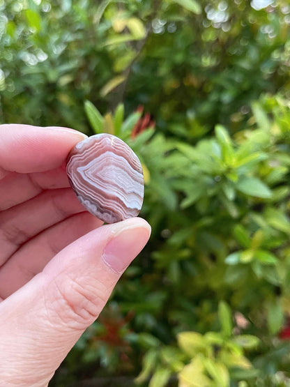 GAF TREASURES 5 Pcs Botswana Agate Tumbled Stones, Polished Natural Botswana Agate Gemstone, Botswana Agate Healing Crystals (Botswana Agate)