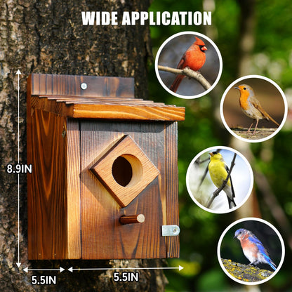 Waterproof Wooden Blue Bird House, Spray Paint Treatment Bluebird Box Houses for Outdoors, Nesting Box for Wrens, Swallows, Finches, Chickadee (Wood)