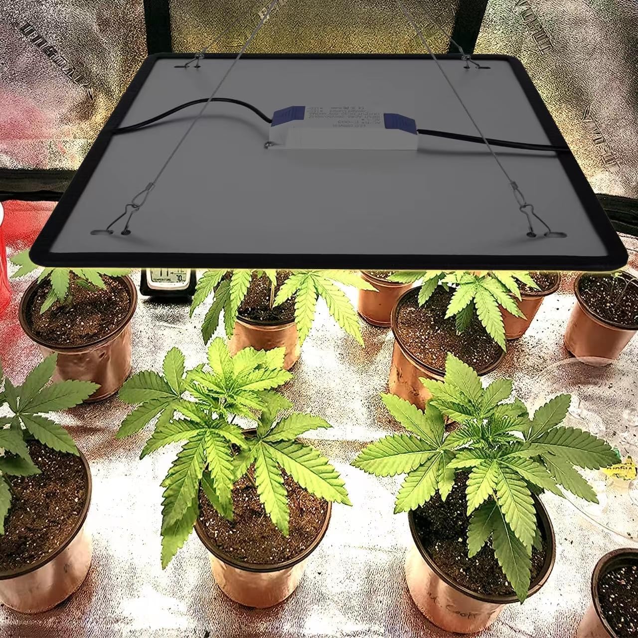 Full Spectrum LED Grow Light for Indoor Plants with UV&IR, Sunlight Simulating Plant Hanging Grow Light for Seedlings, Vegetables, Peppers (60W Actual Power)