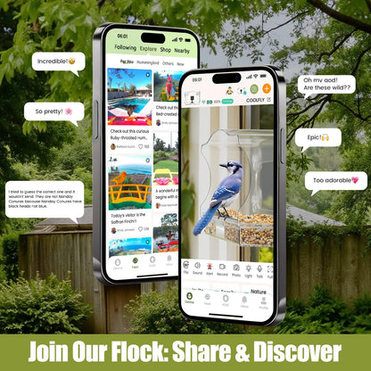 Freeseason Waterproof Smart Bird Feeder Camera with AI ID, 2K HD Glare-Free Video. All-Weather Outdoor Window Mount. Unique Gifts for Elderly Parents, Kids, Birding Lovers & Gardeners