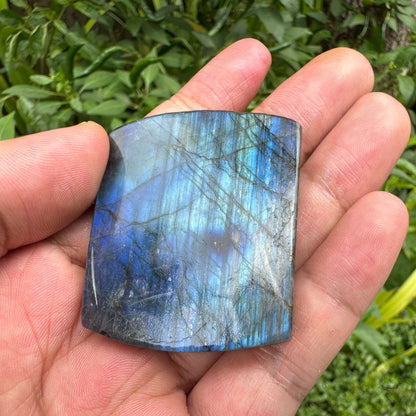 TEAMWILL Natural Labradorite Crystal Quartz Hand Carved Fly Dragon Reiki Healing Crystal Gorgeous Art Sculpture Stone Statue Figurine Minerals Gifts