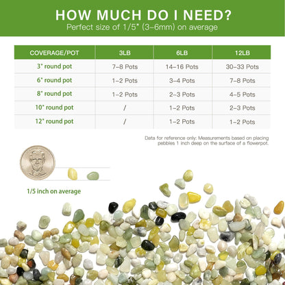 NUPICK 12 lbs Pebbles for Indoor Plants, 1/5 Inch Pea Gravel for Fish Tank, Polished Decorative Rocks for Succulent, Natural River Stones for Vases, Cactus, Landscaping, Bird Bath, Aquarium, Jade