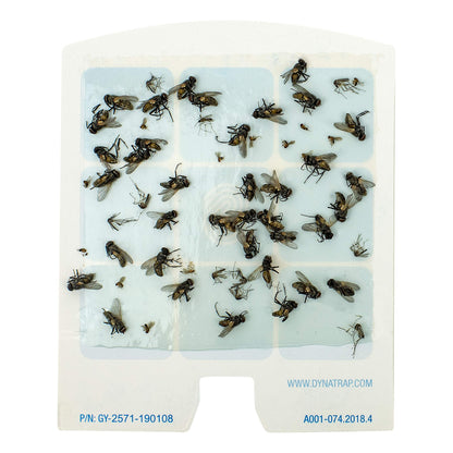 DynaTrap 23005-0612 DOT StickyTech Replacement Indoor Flying Insect Trap Glue Cards - 6 Pack