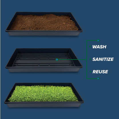Living Whole Foods 5 Pack of Durable Black Plastic Growing Trays (Without Drain Holes) 21" X 11" X 2" - Flowers, Seedlings, Plants, Wheatgrass, Microgreens & More