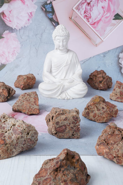 Asteroid Jasper Raw Stones and Crystals For Jewelry Making, Rough Gemstones and Crystals for Tumbling, Polishing, Cabbing, Fountain Rocks, Decoration, Wire Wrapping, Gem Mining, Reiki Healing 1 lb