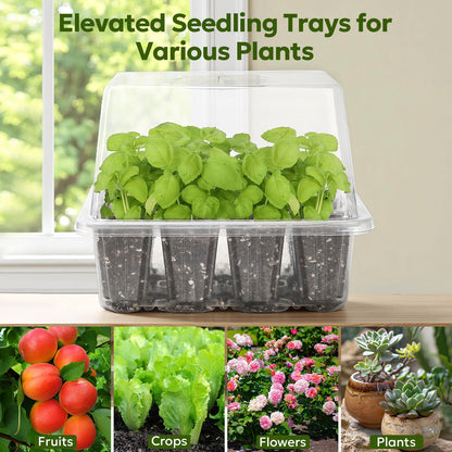 MIXC Seed Starter Kit with Grow Light, Elevated Seedling Tray Kit with Adjustable Humidity Dome and Clear Cell Tray, 12 Full Spectrum Led Beads for Seed Starting Greenhouse, 4 Pack, Transparent