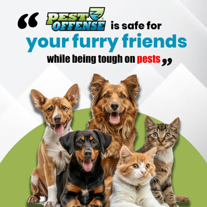 Upgraded PEST OFFENSE New Look Electronic Pest Repeller for Indoor Pest Control of Mice, Rats, Rodents, Roaches for Home, Office, Business, Garage, Warehouse