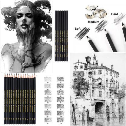 Heshengping 31 Drawing Sketching Pencils Kit, Portable Artist Supples Travel Case Set has Graphite, Charcoal, white color pencil, Blending Stump, gift for Adults Beginners for Drawing Sketch