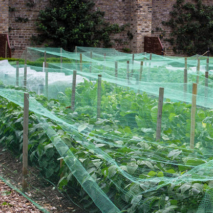 Bird Netting 20'x40' with 1" Square Mesh Bird Net Garden Netting for Chicken Coop, Aviary, Deer Fence, Chicken Netting Fruit Tree Netting