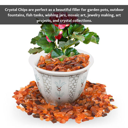 Amazing Gemstone Carnelian Crystal Chips Aquarium Gravel Rocks - Carnelian Chips Bulk Fish Tank Gravel, Small Tumbled Stones and Tiny Crystals for Decoration (Natural AAA Grade Gemstones)