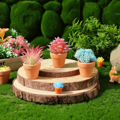 Didiseaon 12 Pcs Mini Terracotta Pots, Small Clay Ceramic Planter, Tiny Succulent Flower Container with Drainage Hole for Indoor Plants Crafts