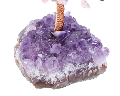 Jovivi Natural Amethyst + Clear Quartz + Rose Quartz Healing Crystal Money Tree on Amethyst Cluster Geode Druzy Base Feng Shui Crystals for Home Office Desk Decorations, Wealth, Good Luck