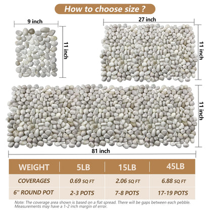 Garrdeen 5LB White River Rocks, High Polished 1–2 inch Decorative Pebbles for Indoor Plants, Aquarium & Fish Tank Rocks, Garden Landscaping Stones, Vase Fillers, Lava Rocks for Plants & Pathway Decor