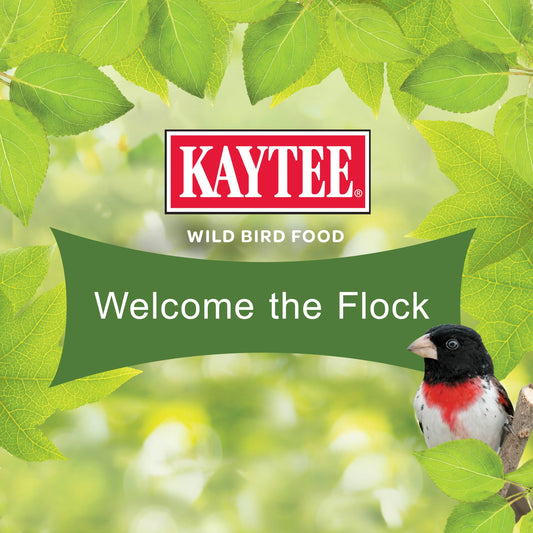 Kaytee Ultimate Birder's Blend Food, Wild Bird Seed For Grosbeaks, Cardinals, Nuthatches, Woodpeckers & More Outside Feeders, 10 Pound