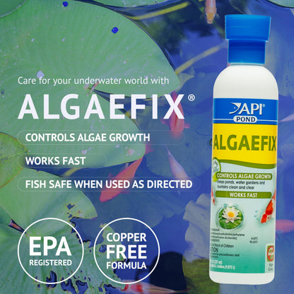 API POND ALGAEFIX (1 gallon) Pond Algae Control - Copper Free - Clean, Clear Water - Up to 38400 Gallons - Safe for Fish, Plants - Water Gardens, Fountains - Natural Active Ingredient - EPA-Registered