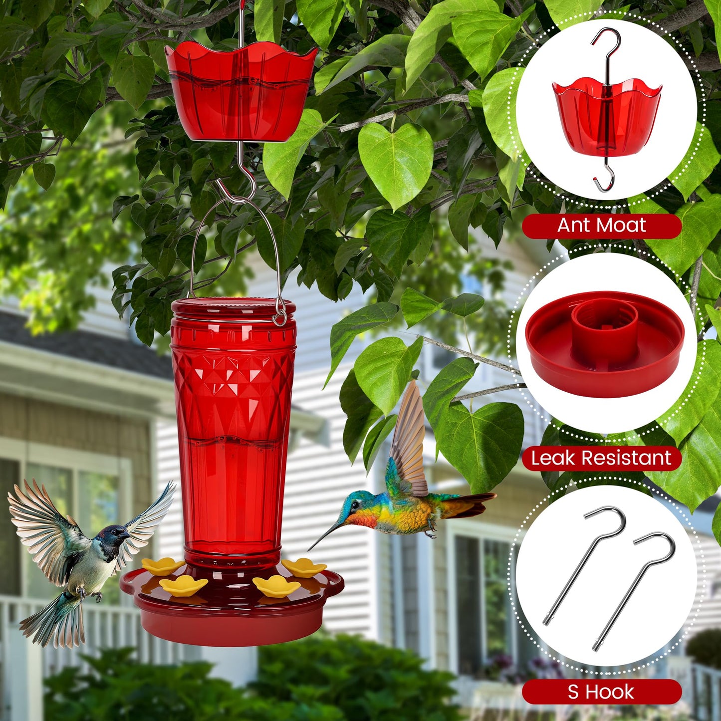 Zamelane Glass Hummingbird feeders for Outdoors 2pack-14Ounces，5 Feeding Ports Hummingbird Feeder,Wide Mouth for Easy Filling/Cleaning，Hanging for Garden Backyard Decor, Includes Ant Moat (Red，2Pack)