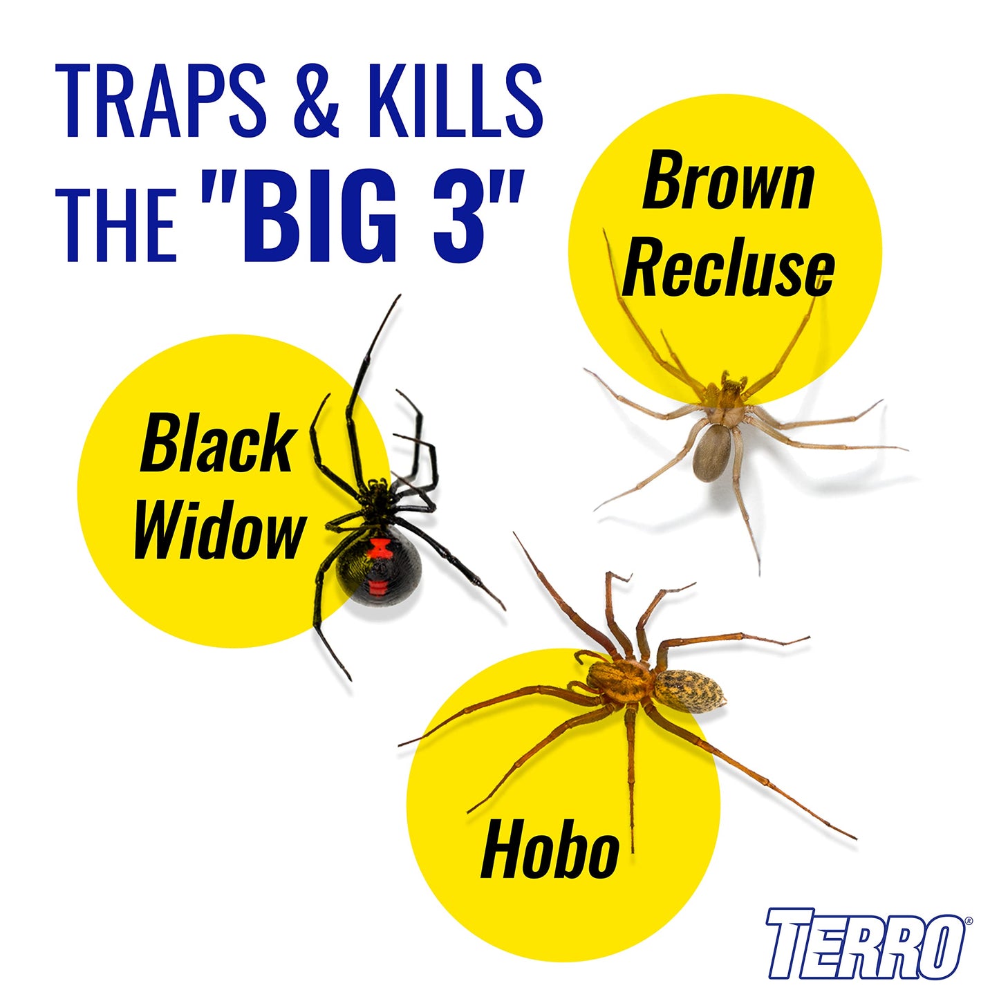 TERRO T3206SR Non-Toxic Indoor Spider, Ant, Cockroach, Centipede, & Insect Traps - Includes 12 Bug Traps Indoor for Homes