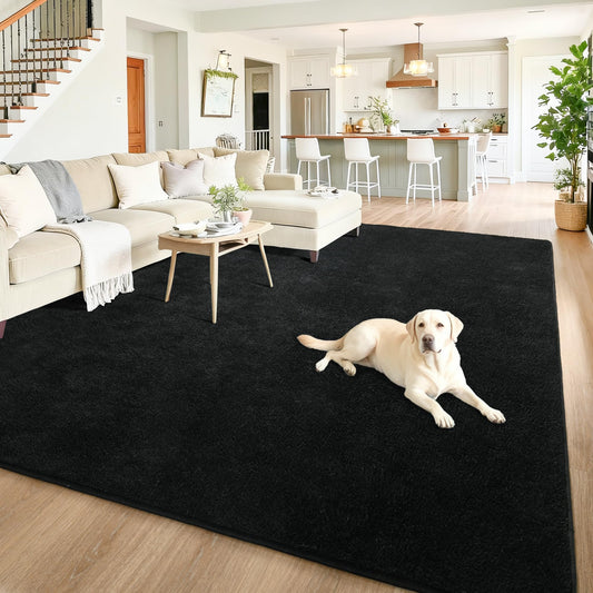Chicrug 6x9 Minimalist Washable Area Rugs for Bedroom Living Room Classroom, Modern Soft Memory Foam Rug for Kids Nursery, Low Plie Indoor Carpet for Dorm Dining Office Bedside Room Decor, Black