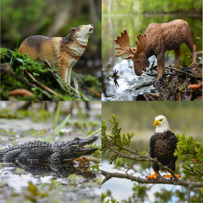 Toymany 12PCS North American Forest Animal Figurines, Realistic Jungle Zoo Animal Set Includes Moose,Cougar,Wolf,Bear,Eagle,Deer Educational Toy Cake Toppers Christmas Birthday Gift for Toddlers