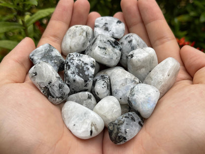 GAF TREASURES 5 Pcs Rainbow Moonstone Tumbled Stones, Polished Rainbow Moonstone Gemstone, Rainbow Moonstone Healing Crystals (Rainbow Moonstone)