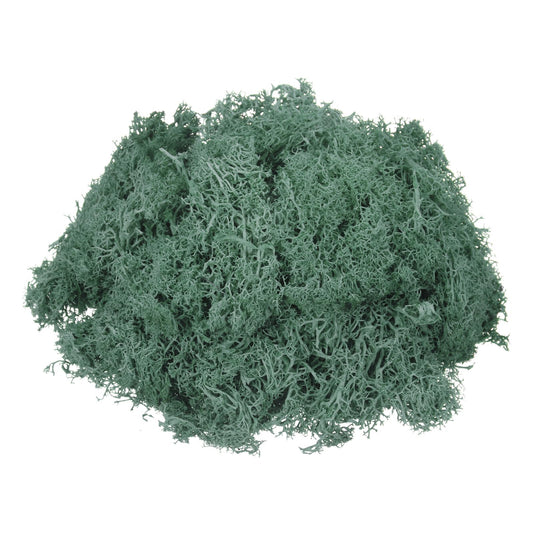 MECCANIXITY 7.4oz Preserved Reindeer Moss, Grass Green Decorative Artificial Fake Moss for Potted Plants Indoor Crafts Lichen Centerpieces Decor