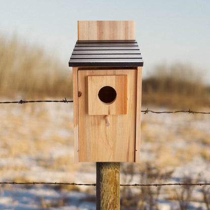 CARTMAN 0.5 Inch Thick Blue Bird Box House, Wood Bird Houses for Outside, Hummingbird House for Outside Clearance Garden Country Cottages, 2PK
