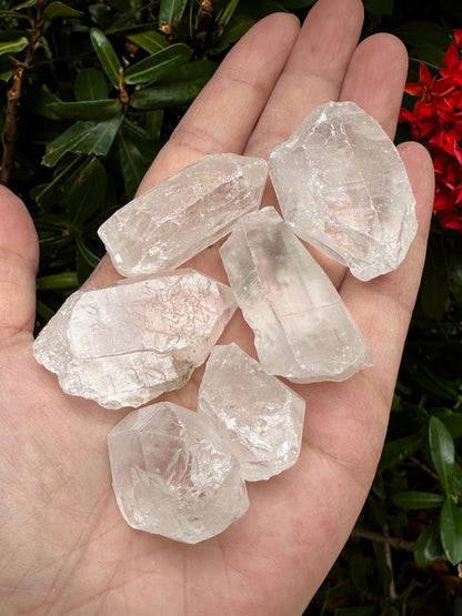 GAF TREASURES Wholesale Raw Clear Quartz Points, Natural Clear Quartz Points, Clear Quartz Points Healing Crystals (1 Pound)