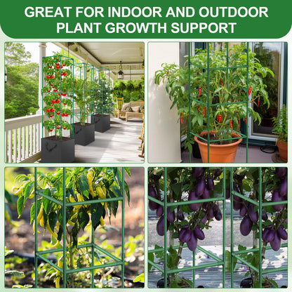 Lezmarket 2 Pack Tomato Cages for Garden, Tomato Trellis for Raised Garden Bed with Plant Clips and Twist Ties for Climbing Plants, 43 inches ﻿ ﻿