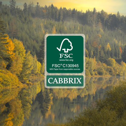 Cabbrix Desk Calendar 2026 with Desktop Mat, Desk Pad Calendar 15"x 12" From July 2026 to December 2027, Desk Calendar for Home Office and School, Easy Planning, Green