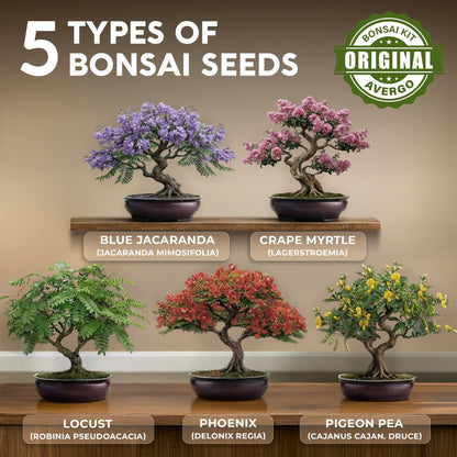 Bonsai Tree Kit for Beginners – 5X Unique Japanese Bonzai Trees | Complete Indoor Bonsai Starter Kit for Growing Bonsai Plants with Tools & Planters – DIY Gardening Gifts for Women & Men