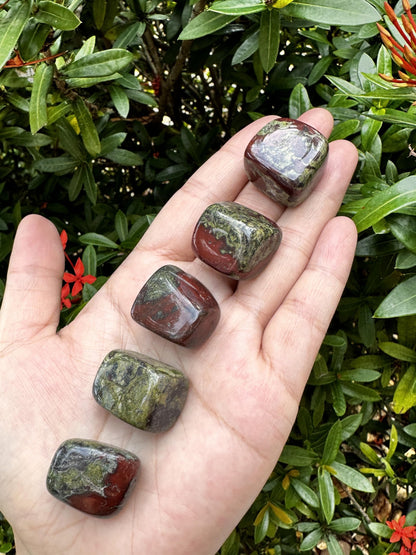 GAF TREASURES 5 Pcs Dragon Blood Jasper Tumbled Stones, Polished Dragon Blood Jasper Gemstone, Dragon Blood Jasper Healing Crystals (Dragon Blood Jasper)