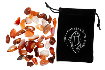 The Chrysalis Stone | Tumbled Stones | Carnelian | 1/2 LB | Bulk Crystals, Healing Stones, Spiritual Gifts for Women, Reiki, Chakra, Witchcraft, Yoga, Meditation Accessories