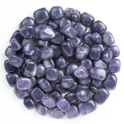 Crocon 1LB Lepidolite Tumbled Stones and Crystals bulk 2000+ Carats - Polished Stones - Rock Collection - vase Filler tumbles - Crystals Healing Reiki - Gemstone Gifts - Fountain tumbles | 20-25 mm,