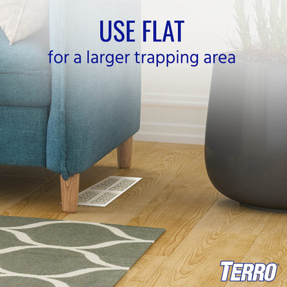 TERRO T3206SR Non-Toxic Indoor Spider, Ant, Cockroach, Centipede, & Insect Traps - Includes 12 Bug Traps Indoor for Homes