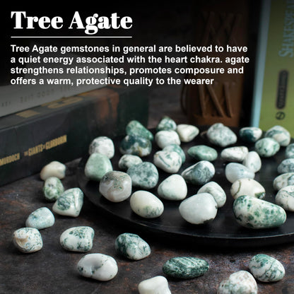 Crocon 1lb Tree Agate Tumble Stones Stones Set Pocket Crystal Healing Gemstones Balancing Tumble Collection Palm Stone Meditation Good Luck Charm Gift Craft Home Decor Size: 20-25 mm 1 LB