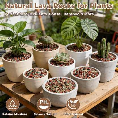 18lb Mix Lava Rocks for Plants 1/8" Horticultural Pumice for Plants, Succulent Cactus Soil Potting Mix - Horticultural Sand Aquarium Gravel Drainage Rocks for Potted Plant, Bonsai Soil, Top Dressing