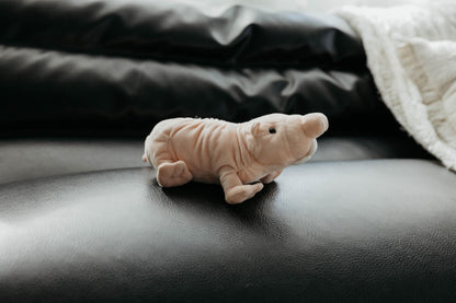 The Petting Zoo Naked Mole Rat Stuffed Animal Plushie, Gifts for Kids, Wild Onez Wildlife Animals, Mole Rat Plush Toy, 9 inches