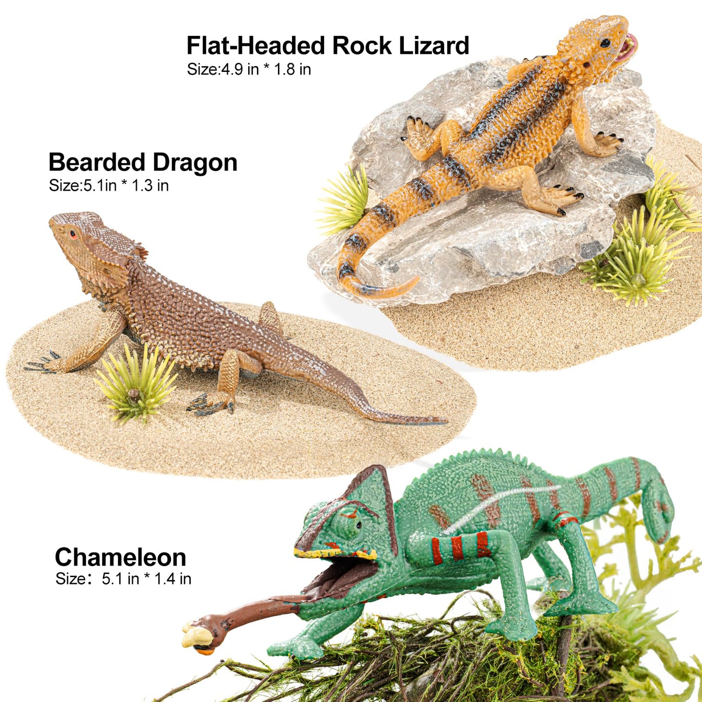 THINKBAY 6PCS Large Lizard Figurines Rainforest Animal Toys, Realistic Plastic Reptile Animal Figurines, Includes Bearded Dragon,Fire Salamander,Chameleons,Coast Horned Lizard Toys, STEM Toy for Kids
