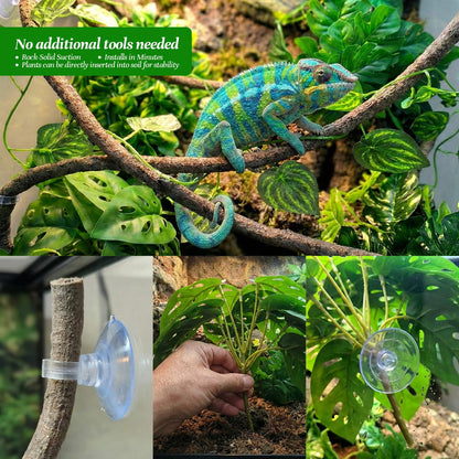 5 Pcs Reptile Plants & Habitat Decor Kit - 3 Artificial Plants & Large 5ft Jungle Vine Branch, Amphibian Habitat Hideout Tank Decorations fit Crested Gecko Leopard Lizard Chameleon Ball Python Frog