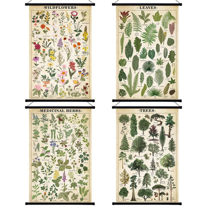 Lewtemi 4 Pcs Vintage Poster Nature Botanical Wall Art Wildflowers Leaves Medicinal Herbs Trees Wall Hanging Poster Prints Plants Chart Poster for Classroom, 15.35 x 23.62 Inch(Retro, Green Plants)