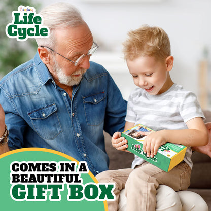 Life Cycle Animal Kit - Montessori Science Toy with 24-Piece Matching Game, Butterfly, Frog, Chicken, Bee, Ladybug and Turtle STEM Educational Gift, Easter Basket fillers for Kids Ages 3-8