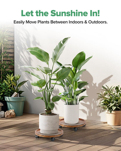 AZADESJET 2 Pack Plant Caddy with Wheels, 14" Wood Rolling Plant Stand with 360° Lockable Wheels, Plant Stands Outdoor for Large Plants, Flower Cart Plant Dolly Plant Caster for Heavy Objects, Walnut