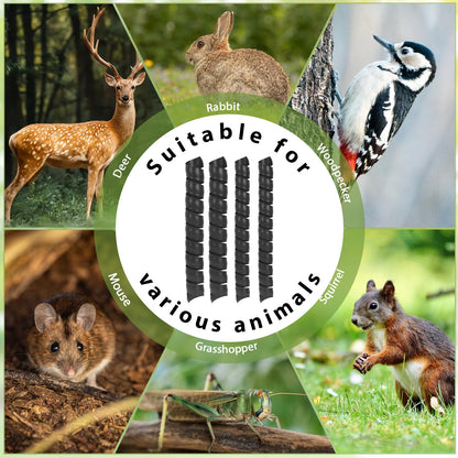 8 Pcs Tree Trunk Protector-2 Size Plastic Spiral Tree Guard Tree Trunk Protector Wrap Tree Bark Protector Tube Tree Wraps to Protect Bark Tree Saplings from Deer Cats Rodents Rabbit Mowers (Black)