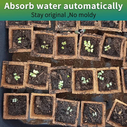 TCBWFY 320Cells Seedling Start Trays,20 Pack Peat Pots Seedling Pots Biodegradable,Seedling Starter Kit,Organic Germination Plant Starter Trays