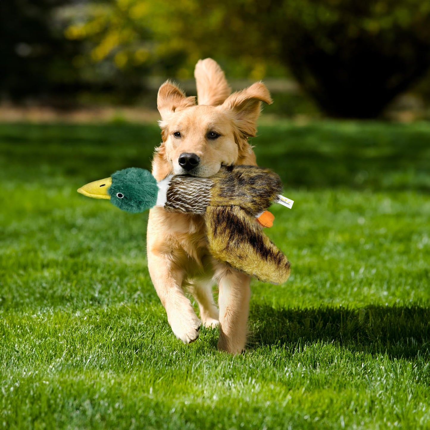 k8PurrDog Large Squeaky Dog Toys, Tough Plush Squeaky Duck Dog Toy with 3 Sounds to Keep Them Busy, Interactive Filled Chew Toys for Small Medium and Large Dogs