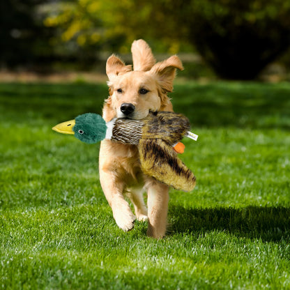 k8PurrDog Large Squeaky Dog Toys, Tough Plush Squeaky Duck Dog Toy with 3 Sounds to Keep Them Busy, Interactive Filled Chew Toys for Small Medium and Large Dogs