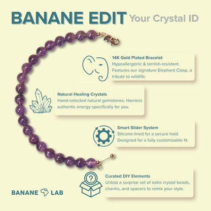 BANANE LAB Amethyst Bracelet | DIY Customizable Design | Natural 8mm Purple Gemstone Beads on 14k Gold Plated Chain | Adjustable Crown Chakra Peace & Calm Jewelry Gift for Women